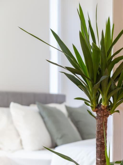 Stylish Apartment - Casa Leone - Center Trieste Ngoại thất bức ảnh